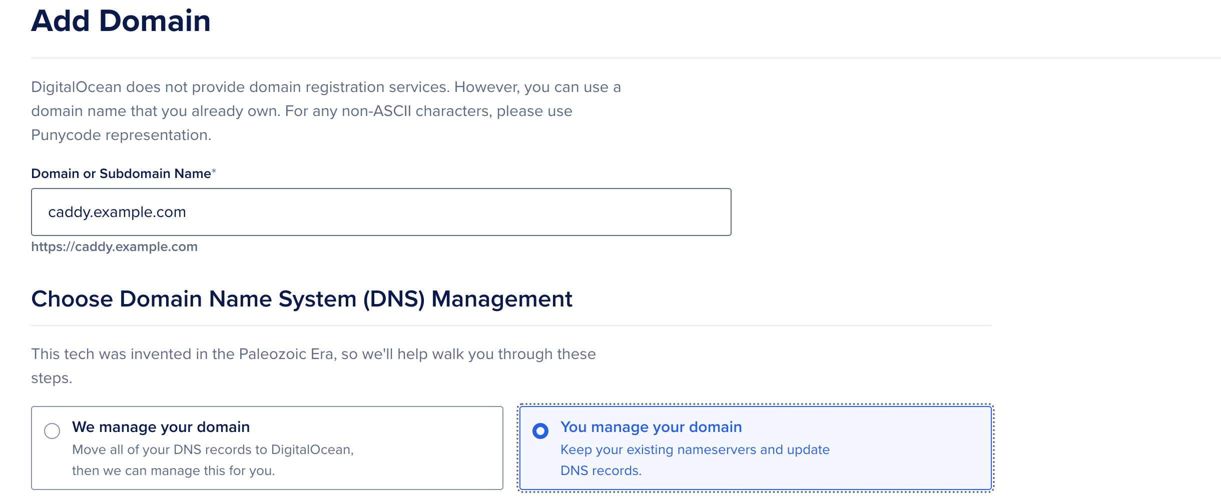 DNS management