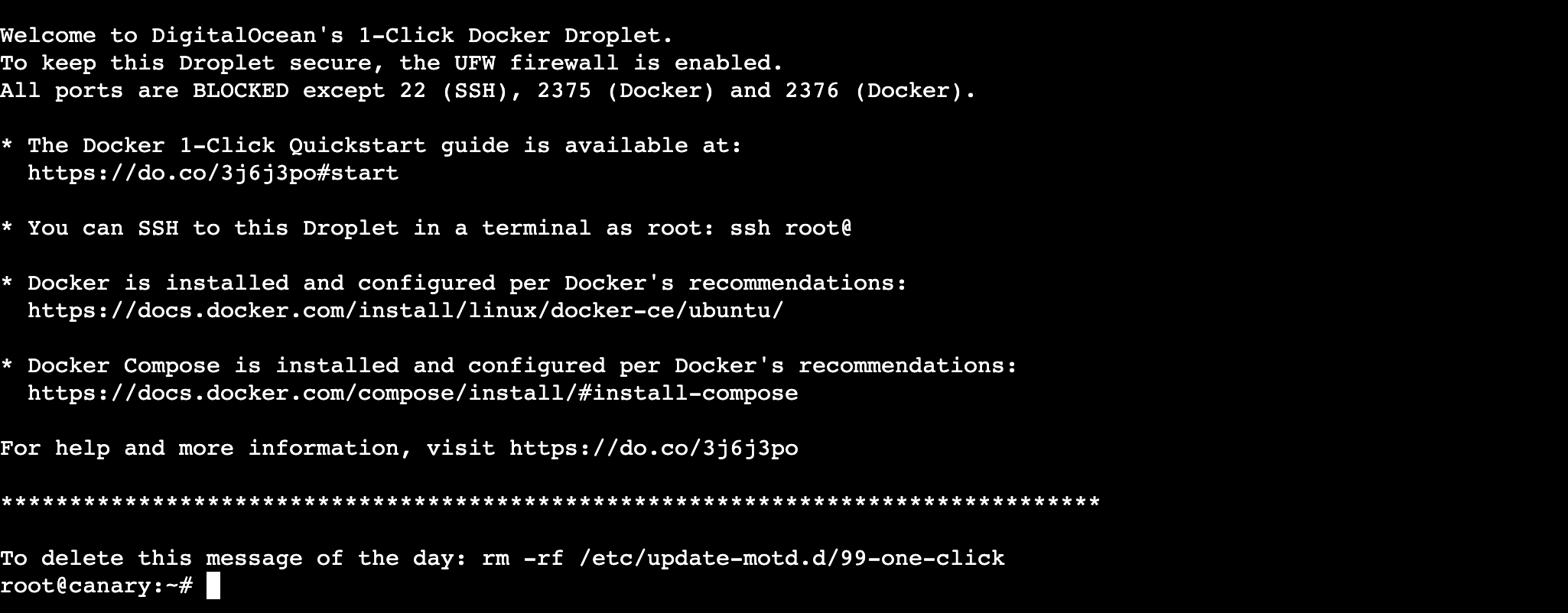 Docker 1-Click Droplet