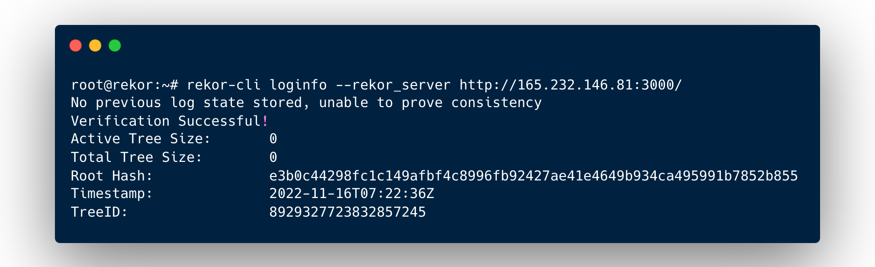 Loginfo output for the local Rekor Server