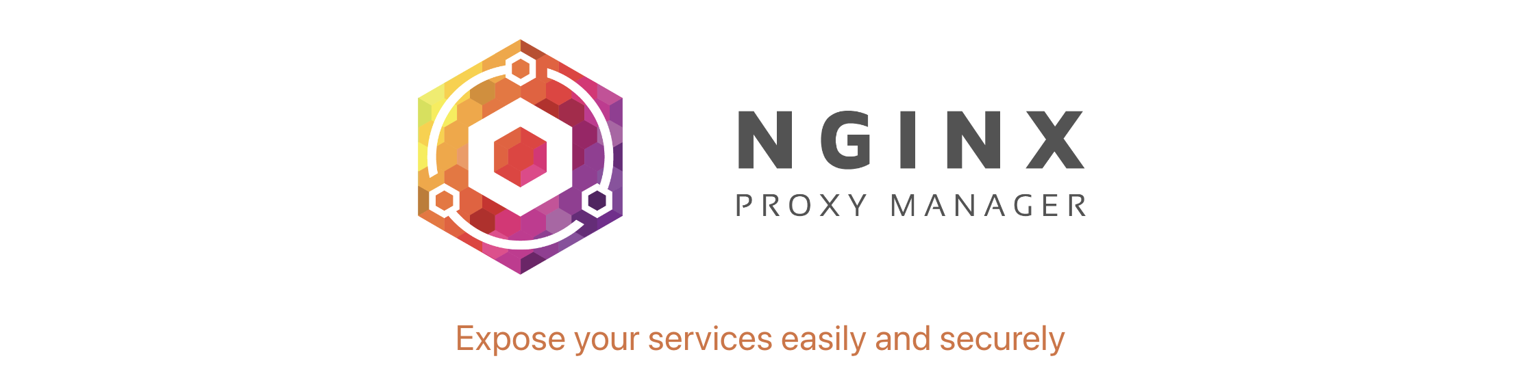 Source: Nginx Proxy Manager